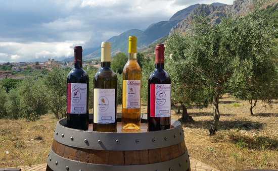 Azienda Vitivinicola Rizzo