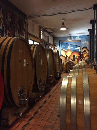 Azienda Agricola Ca'Lustra