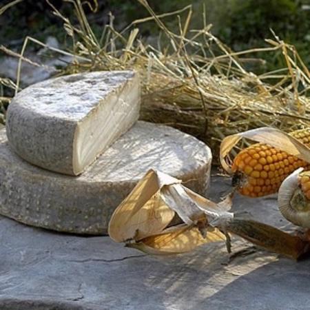 Azienda Agricola Biologica Il Cardo