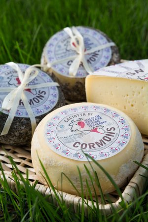 Azienda Agricola Zoff