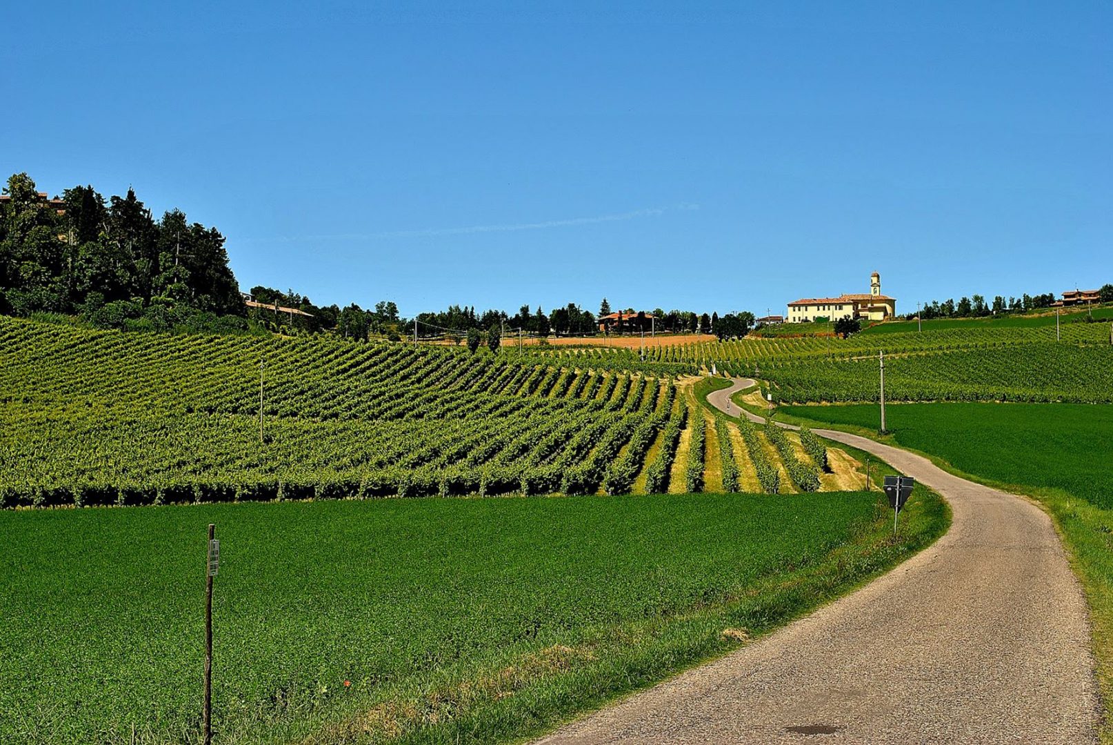 Azienda Agricola Nadali