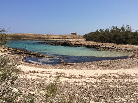 Area Marina Protetta di Torre Guaceto