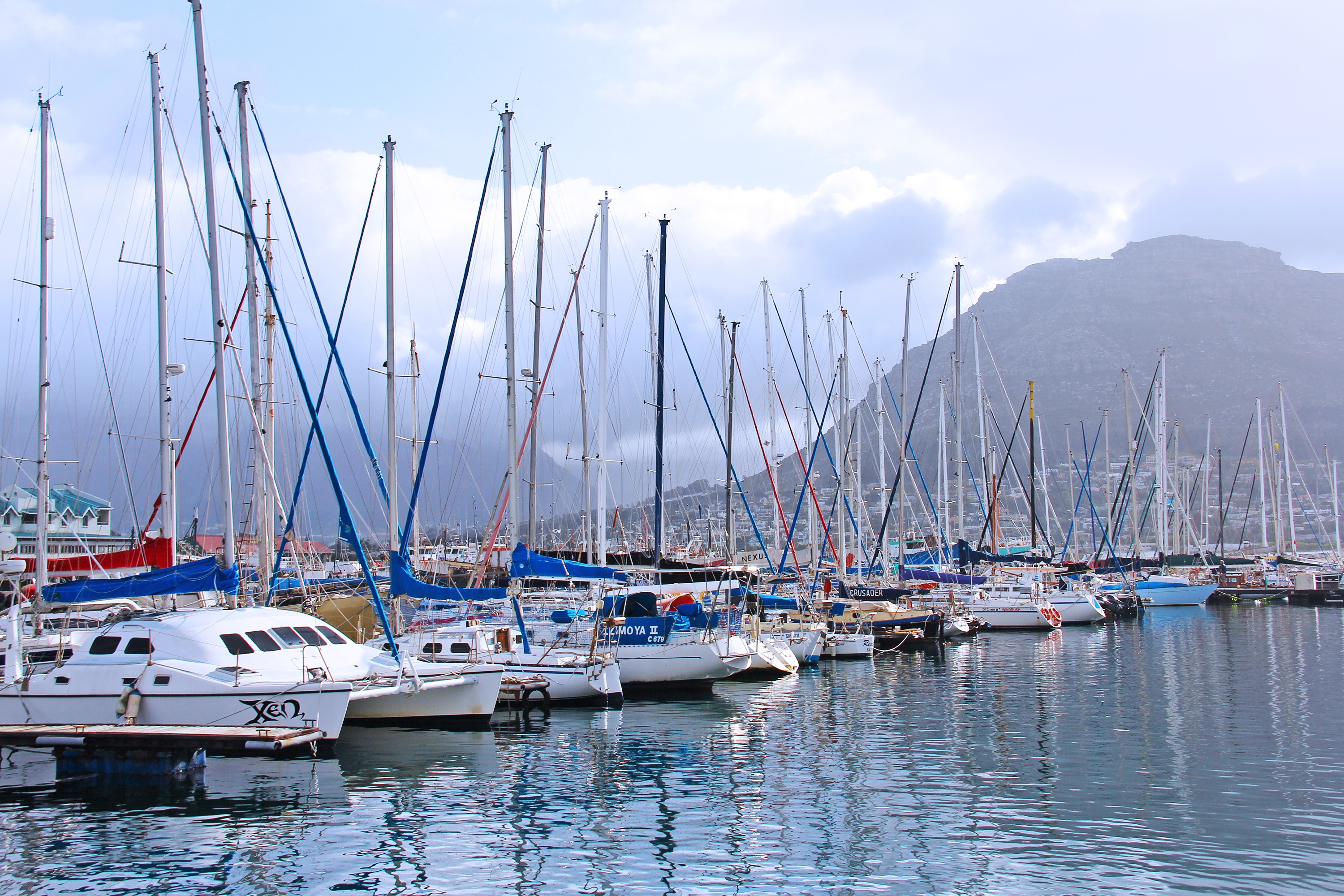 Bay Harbour Market