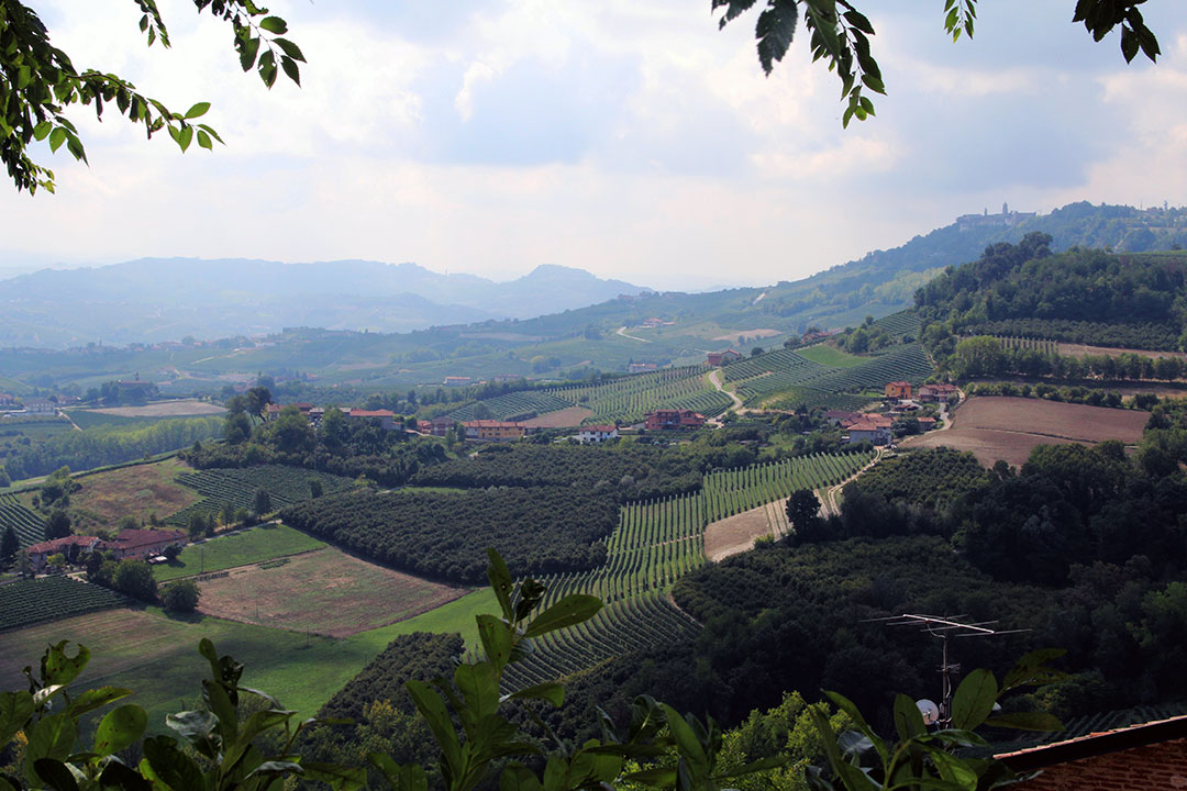 Belvedere Di Verduno