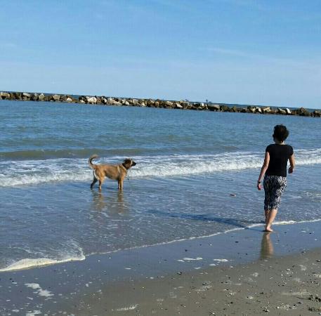 Bagno Overbeach