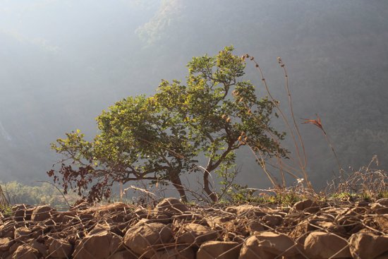 Chilkahrada Wild Life Sanctuary