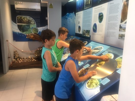 Dwejra Marine Environmental Education Centre