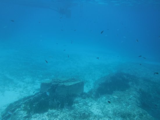 Ebsons Comino Ferries