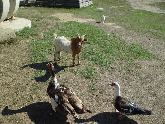 Deltaventur Parc D ' Aventura I Natura