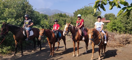 Centro Volteggio ed Equitazione Sole dell'Etna