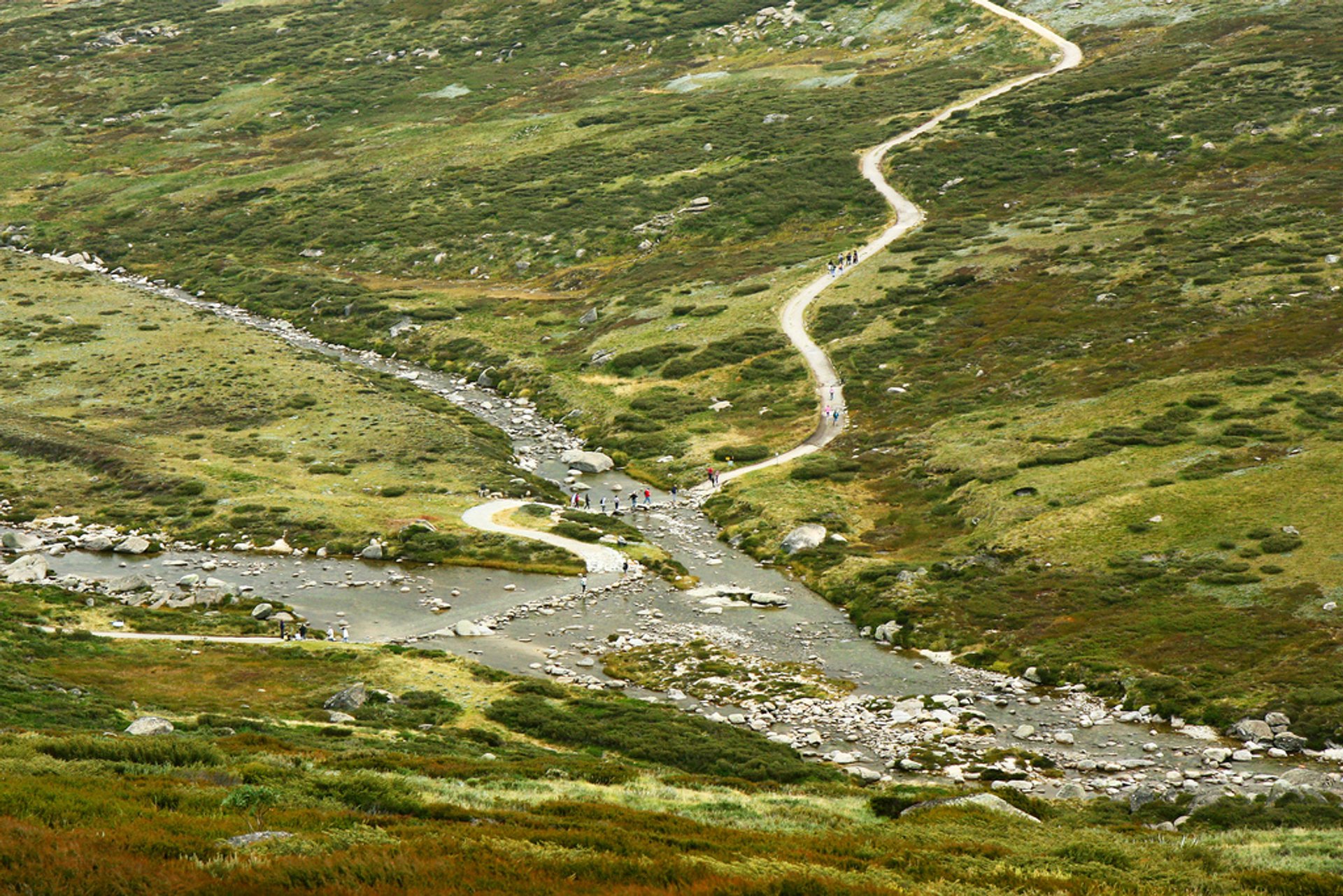 Charlotte Pass