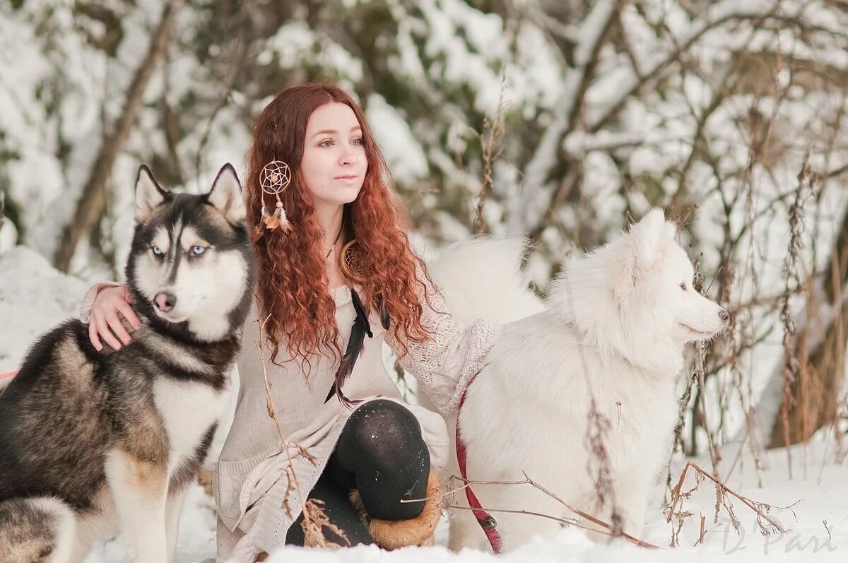 Husky Park