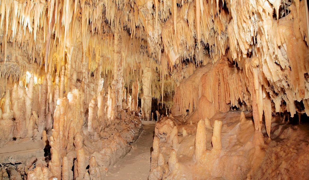 IAT Castellana Grotte