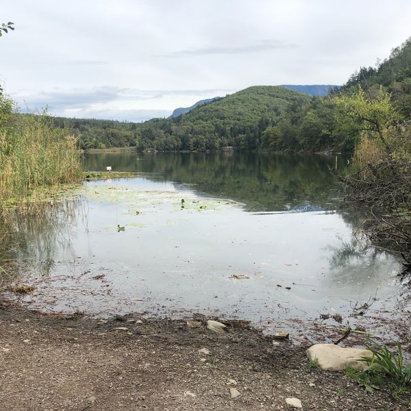 Il Lido al Lago Grande di Monticolo
