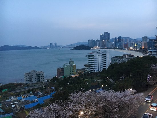 Haeundae Dalmaji-gil Road