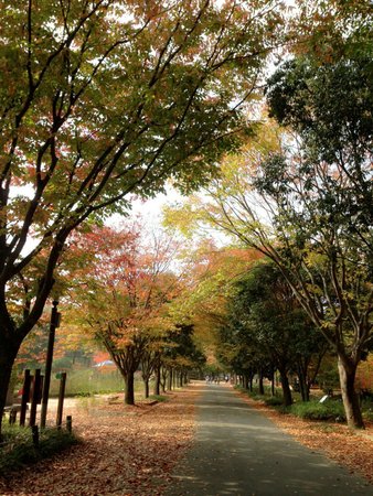 Gyeongsangnamdo Arboretum