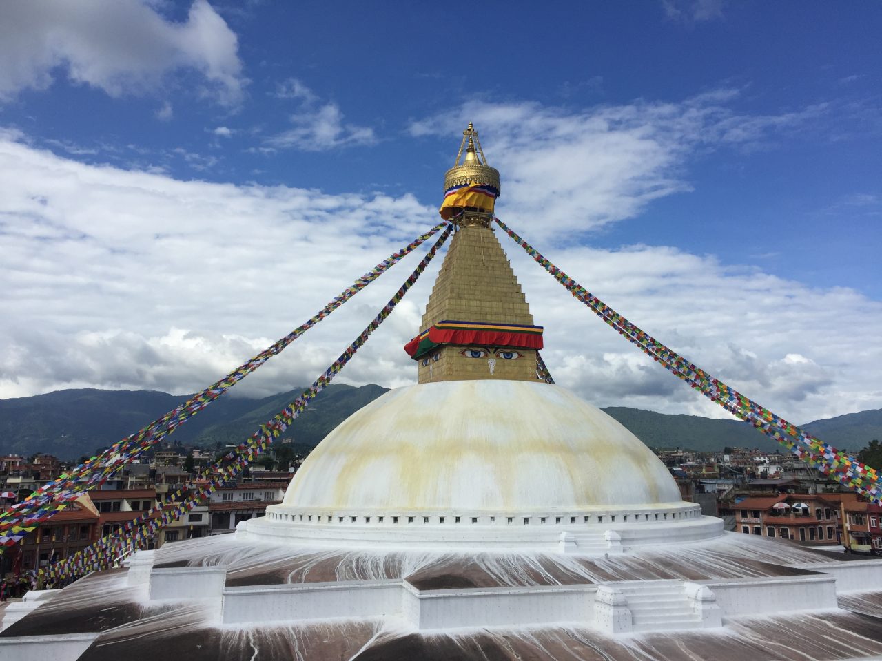 Himalayan Healers