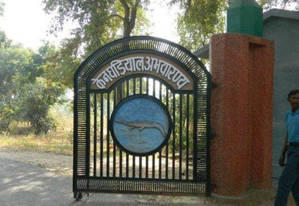 Ken Gharial Sanctuary