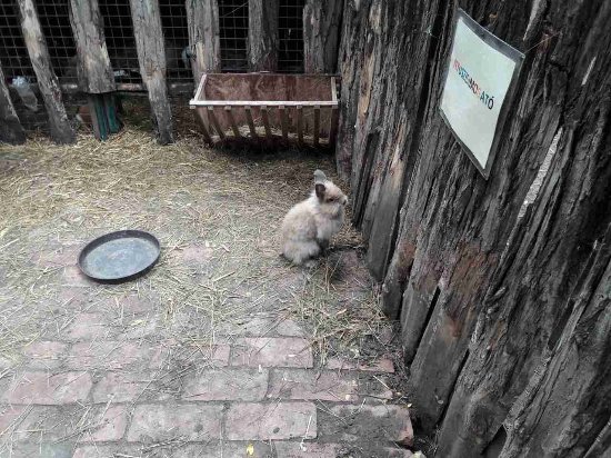 Kecskeméti Zoo