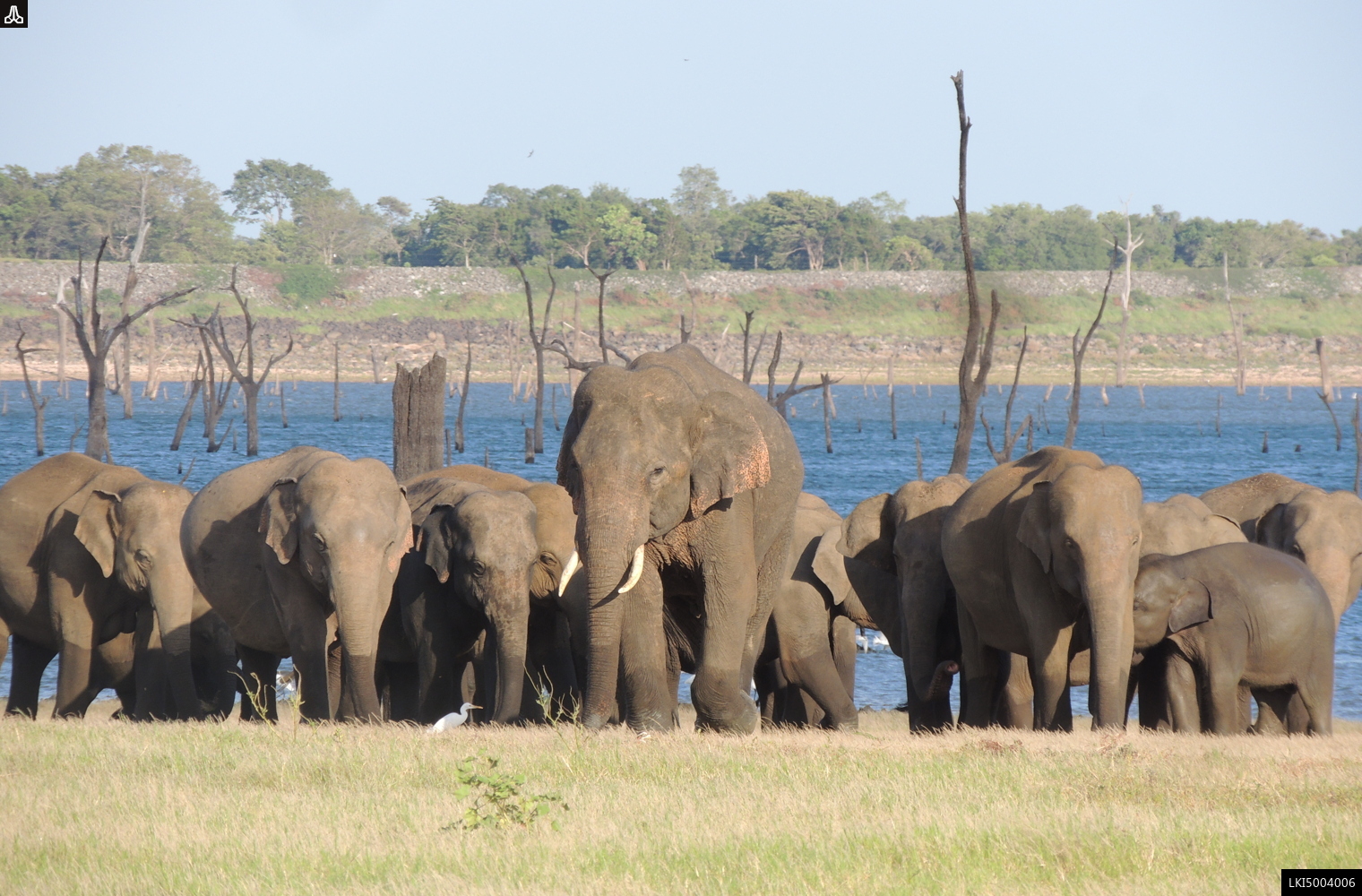 Kaudulla National Park