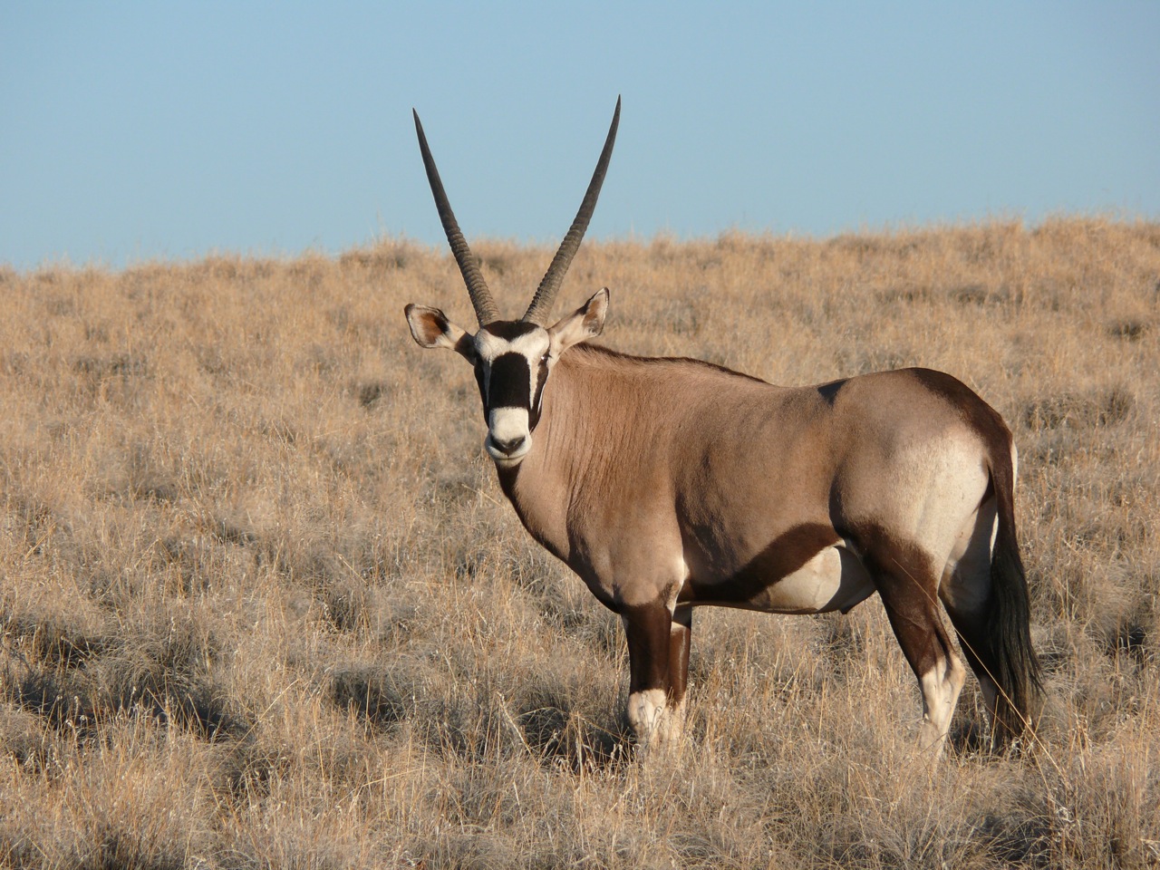 Ingugama Tours and Safaris
