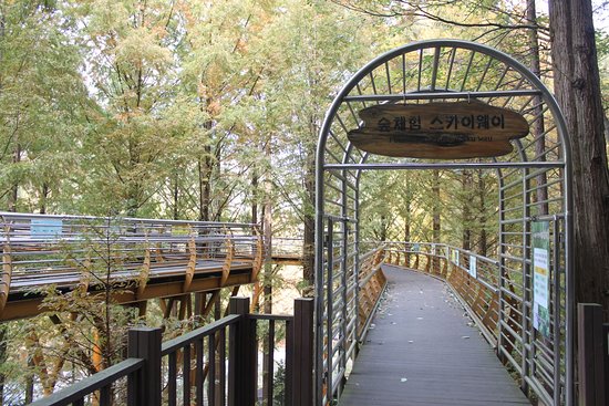 Jangtaesan Natural Forest