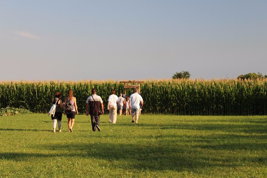 Fattoria Didattica La Selce