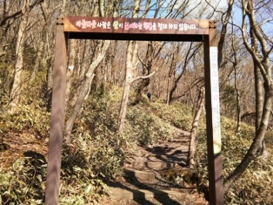Eoseungsaengak Trail