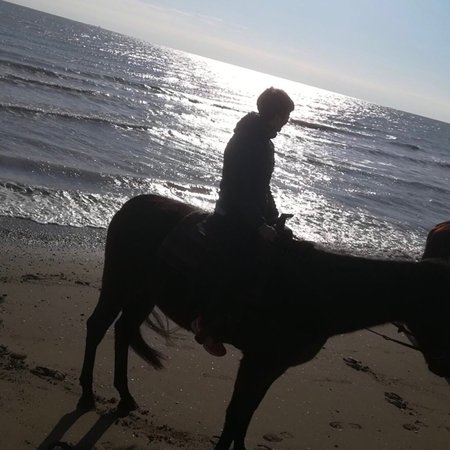 Equitrek