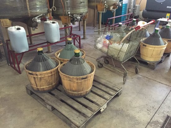 Goggiano Winery