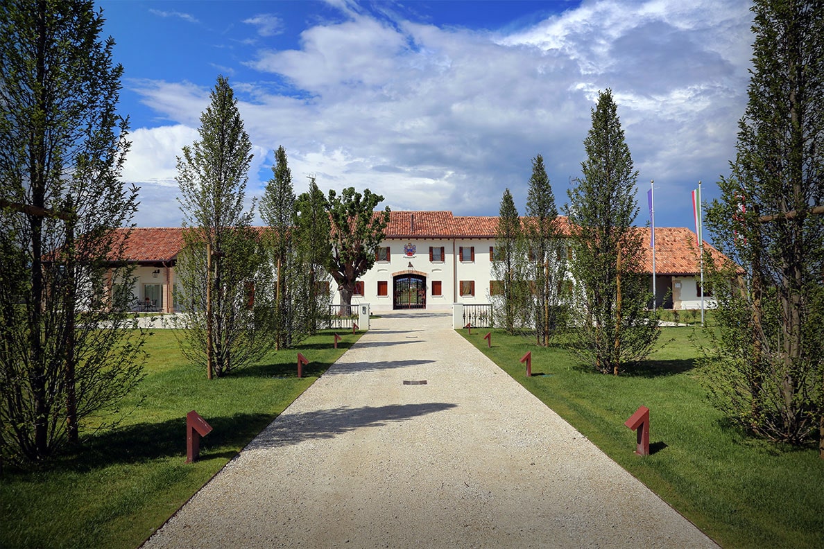Giusti Wine