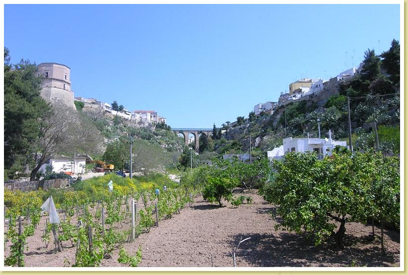 Gravina di San Marco