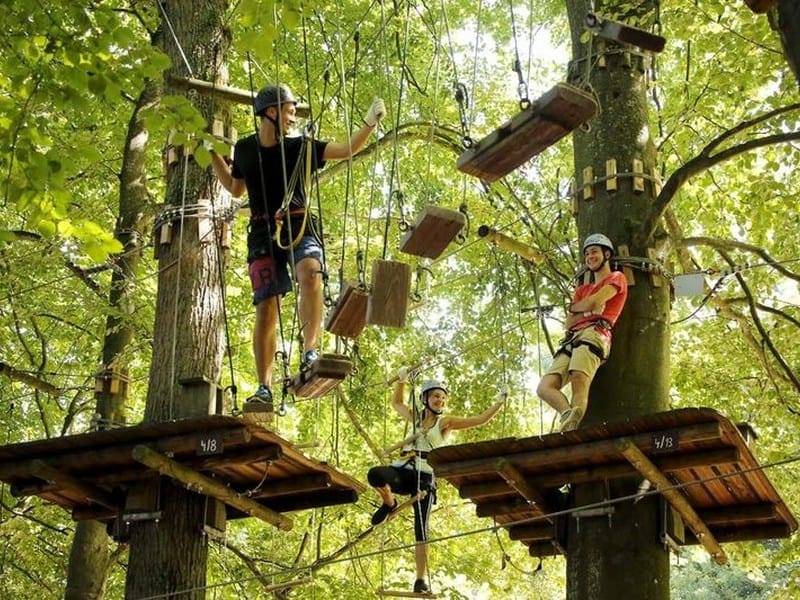 Fun Forest Adventure Park