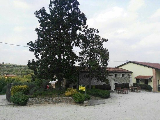 Frantoio Colli del Poeta