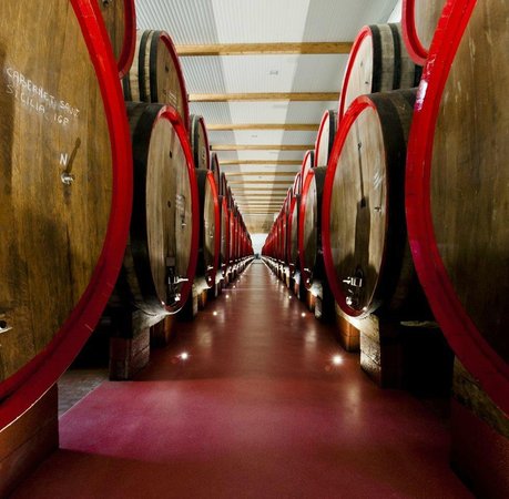Gavioli Antica Cantina