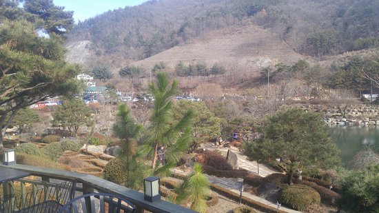 Outdoor Pictures 1