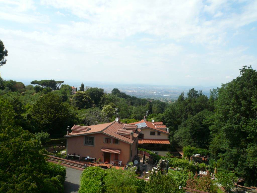 Monte Tuscolo