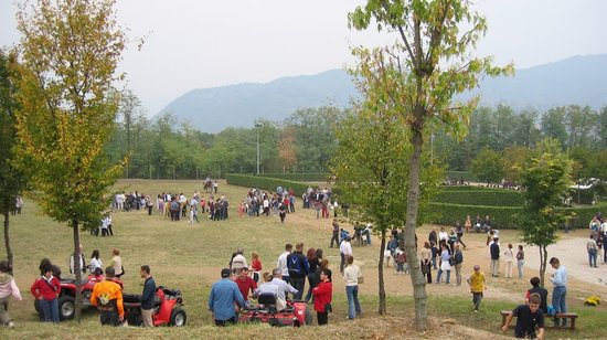 Monsereno Horses