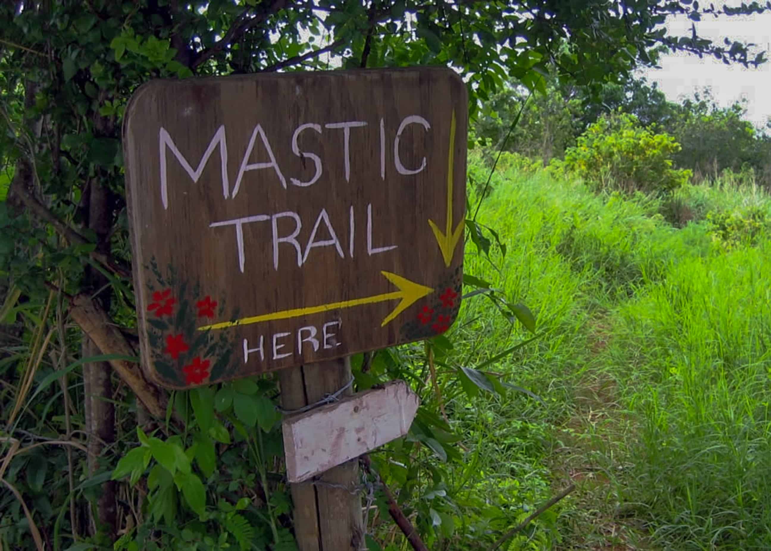 Mastic Trail