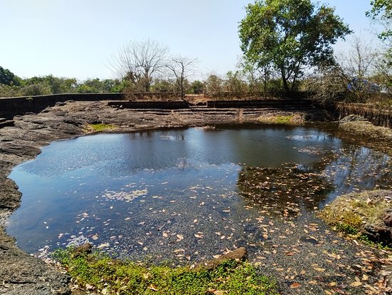 Meenkulam Sree Krishna Temple