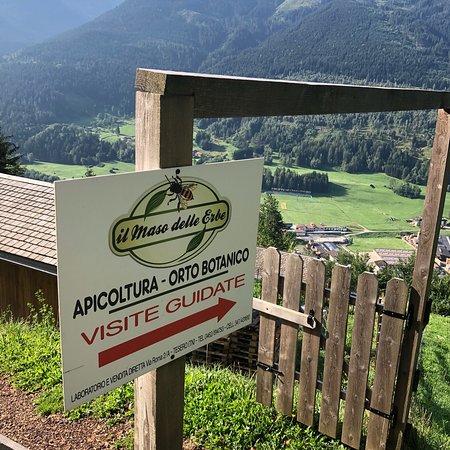 Maso Delle Erbe Tesero