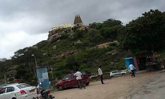 Outdoor Pictures 1
