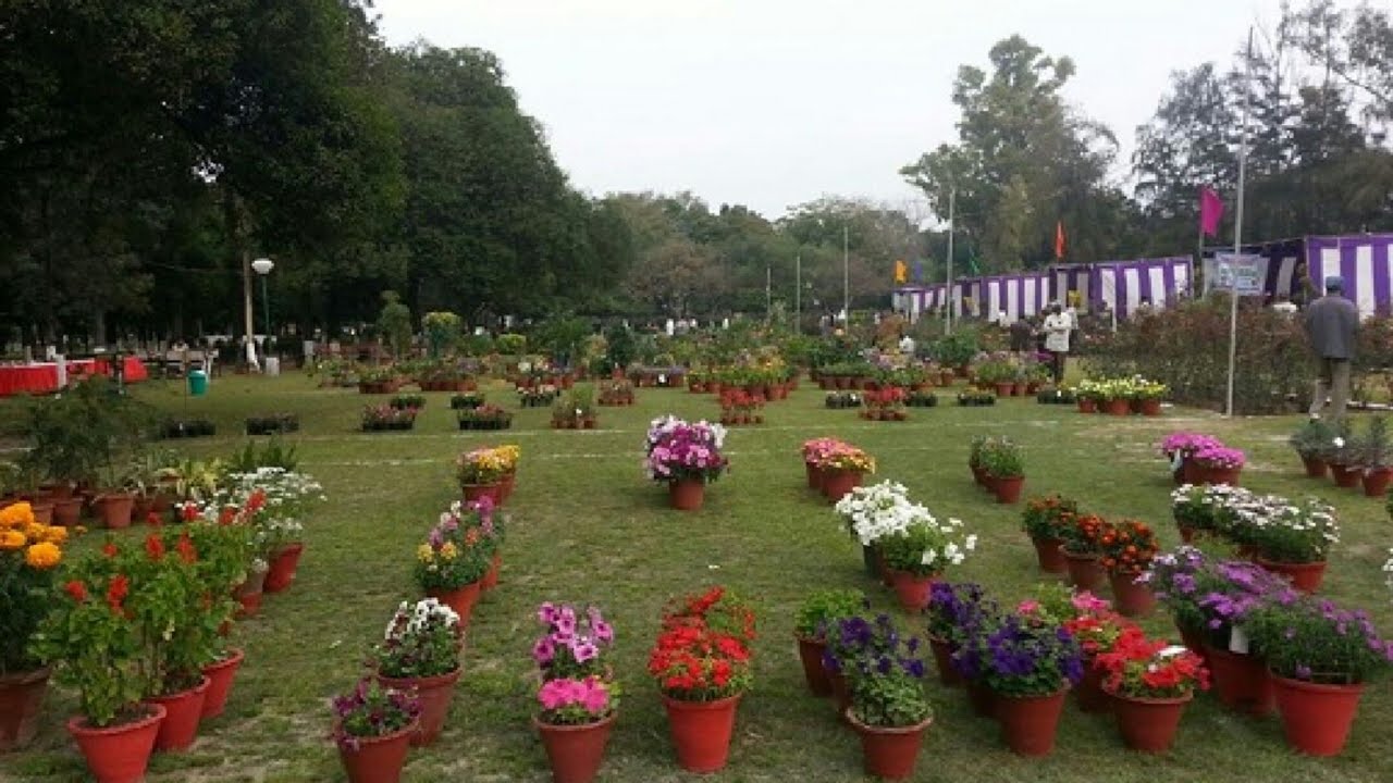 Nehru Rose Garden