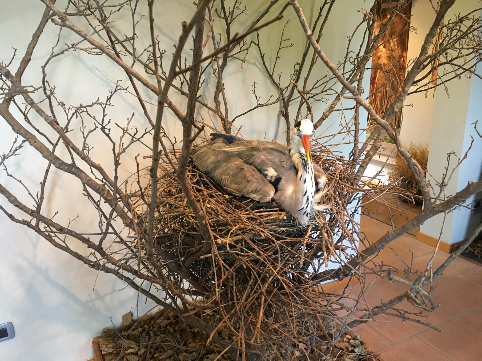 Oasi Cervara - Nature Sanctuary