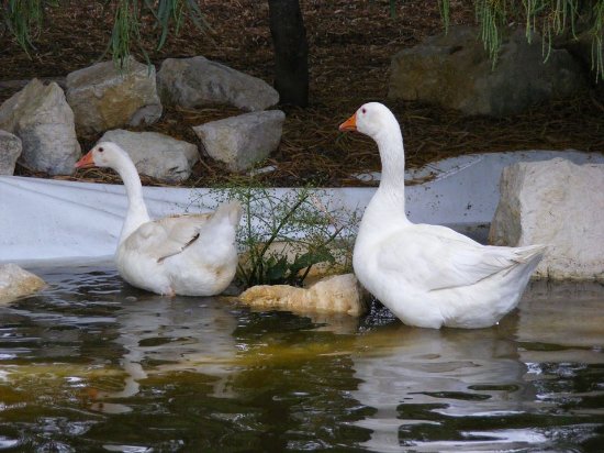 Oasi Natura Mocrei Ecosezione