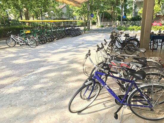 Noleggio Biciclette e Riscio Orioli