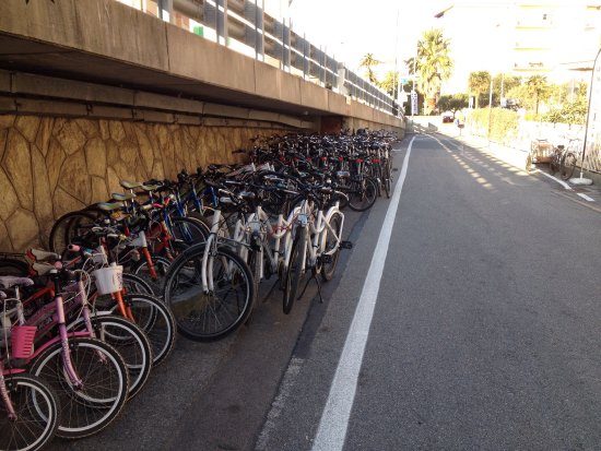 Noleggio Bici Reali