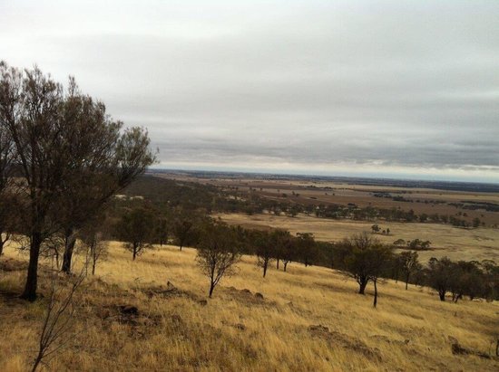Mount Jeffcott Flora and Fauna Reserve