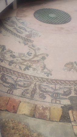 Mosaic of Duomo Square