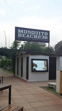 Mosquito Beach 236